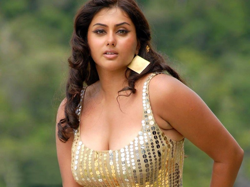 The Hottest Bollywood Divas_namitha-hot-wide-desktop-wallpaper