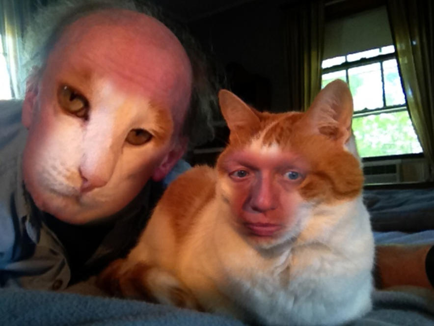 face swaps_4