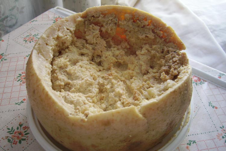 dangerous food_Casu marzu