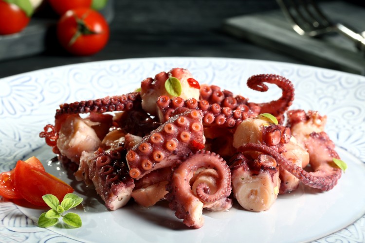 dangerous food_octopus