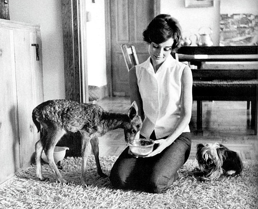 Celebrities And Their Unusual Pets_Audrey Hepburn