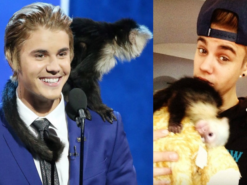 Celebrities And Their Unusual Pets_Justin Bieber