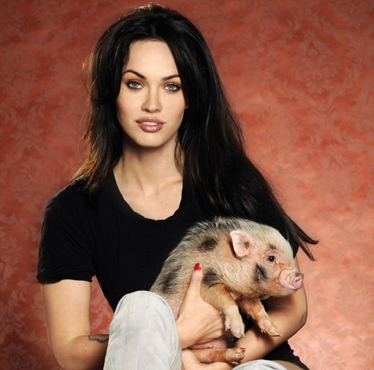 Celebrities And Their Unusual Pets_Megan Fox