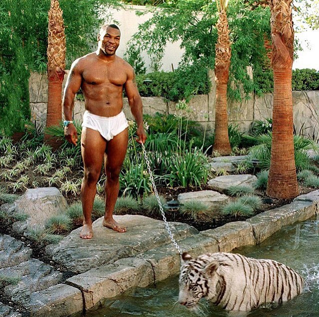 Celebrities And Their Unusual Pets_Mike Tyson