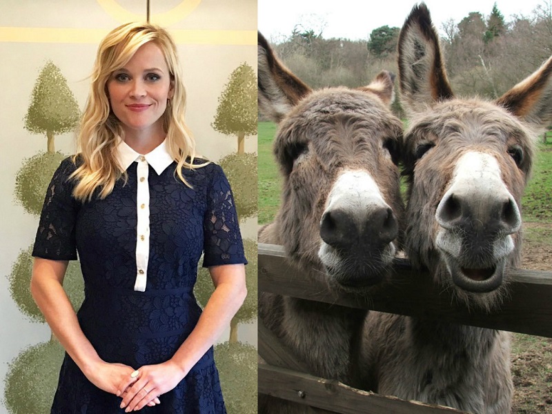 Celebrities And Their Unusual Pets_Reese Witherspoon