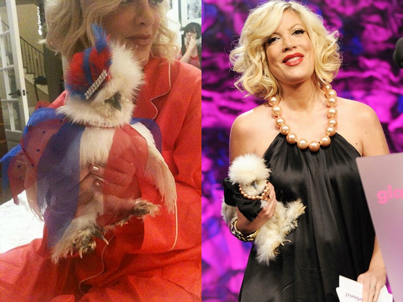 Celebrities And Their Unusual Pets_Tori Spelling