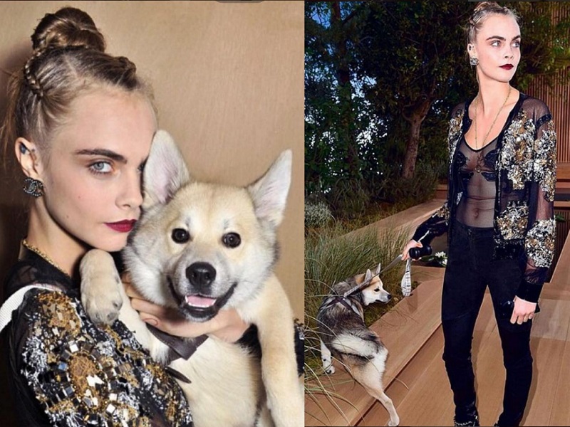 Hot Female Celebs With Their Pets_Cara Delevingne
