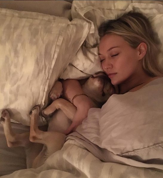 Hot Female Celebs With Their Pets_Hilary Duff