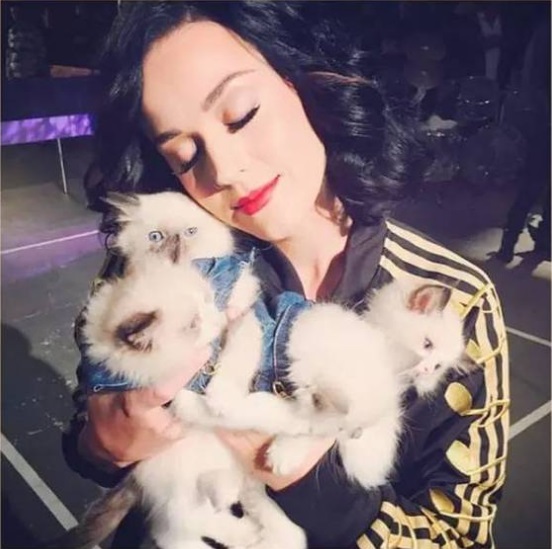 Hot Female Celebs With Their Pets_Katy Perry 1