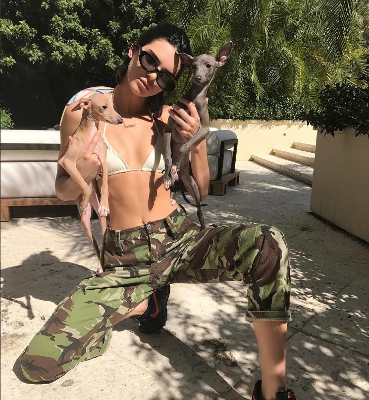 Hot Female Celebs With Their Pets_Kendall Jenner 1