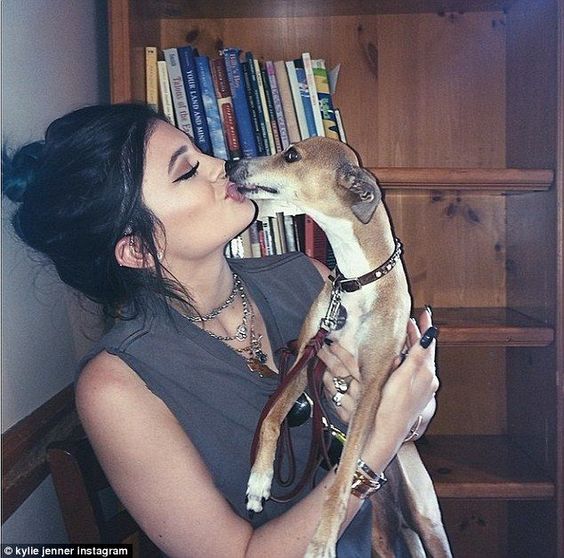 Hot Female Celebs With Their Pets_Kylie Jenner 2