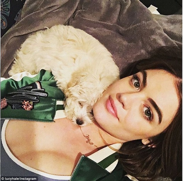 Hot Female Celebs With Their Pets_Lucy Hale