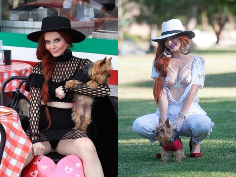 Hot Female Celebs With Their Pets_Phoebe Price