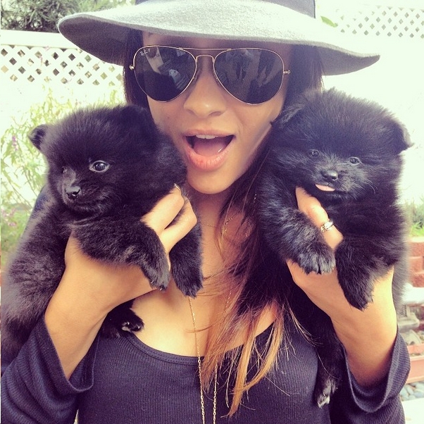 Hot Female Celebs With Their Pets_Shay Mitchell 1