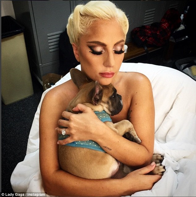 Hot Female Celebs With Their Pets_lady gaga