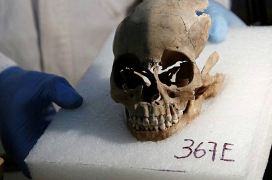 the oddest items people tried to smug_human scull fragments